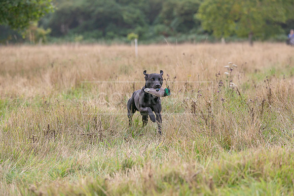 Jixenwell Scurry Challenge Final 2024-0512