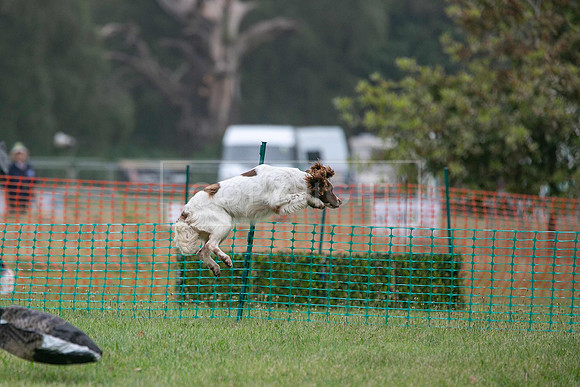 Jixenwell Scurry Challenge Final 2024-0347