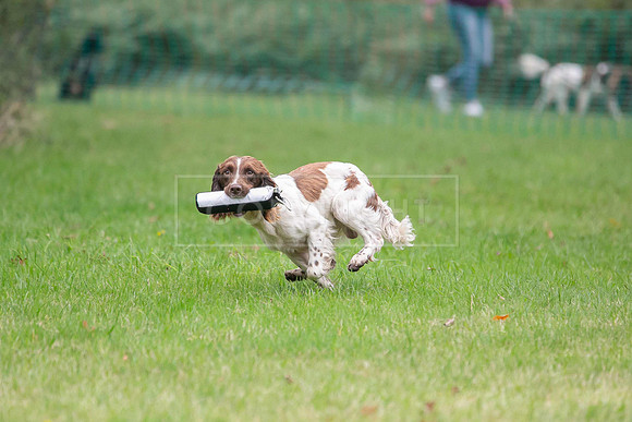 Jixenwell Scurry Challenge Final 2024-0194