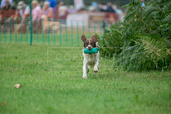 Jixenwell Scurry Challenge Final 2024-0394