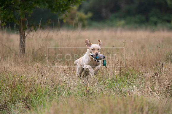 Jixenwell Scurry Challenge Final 2024-0503