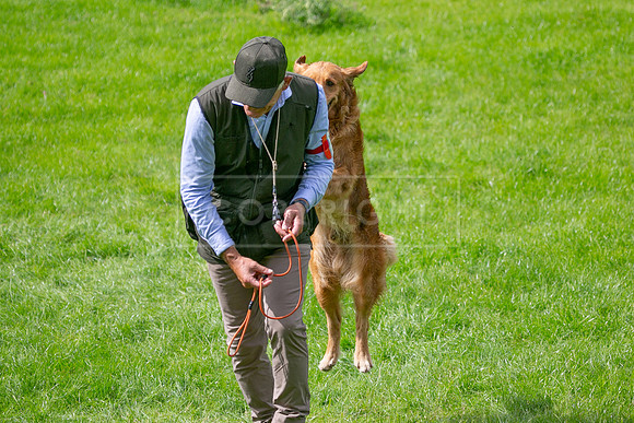Int Retriever Day 1 -189