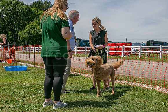 Scruffts heat @ Wadebridge 13th July 2025-63