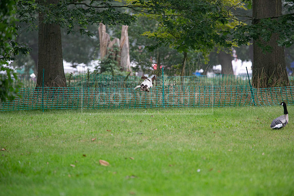 Jixenwell Scurry Challenge Final 2024-0322