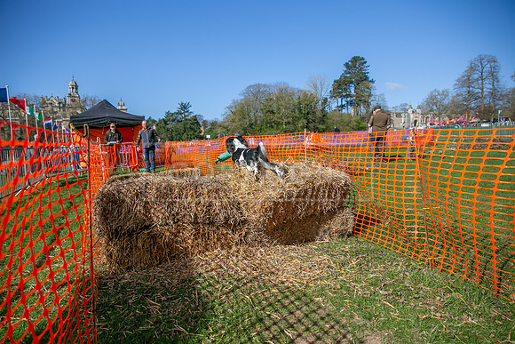 Thoresby Sun 30th Mar 25-076
