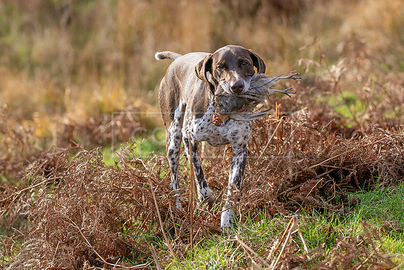 HPR Championship 17th & 18th Nov 2023-301