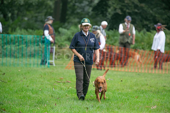 Jixenwell Scurry Challenge Final 2024-0142