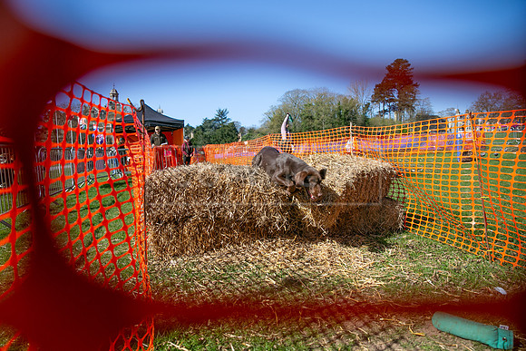 Thoresby Sun 30th Mar 25-111