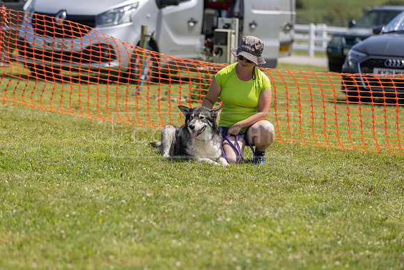 Scruffts heat @ Wadebridge 13th July 2025-103