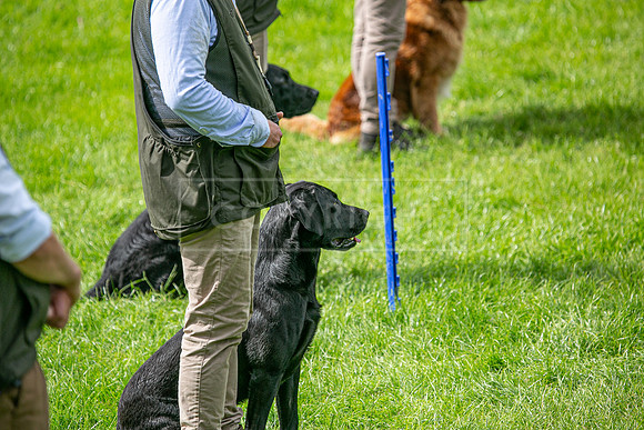 Int Retriever Day 1 -192