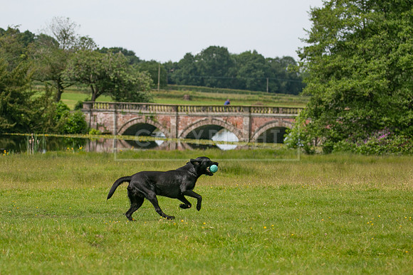 Int Retriever Day 1 -118