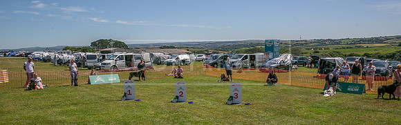 Scruffts heat @ Wadebridge 13th July 2025-12