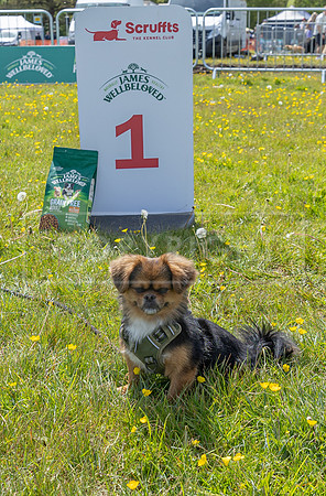 Scruffts @ Hylands Park 5th May 2024-032