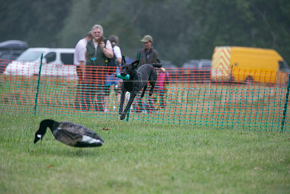 Jixenwell Scurry Challenge Final 2024-0185