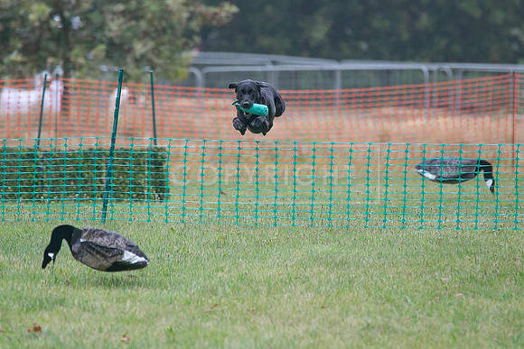 Jixenwell Scurry Challenge Final 2024-0159
