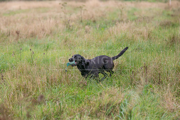 Jixenwell Scurry Challenge Final 2024-0464