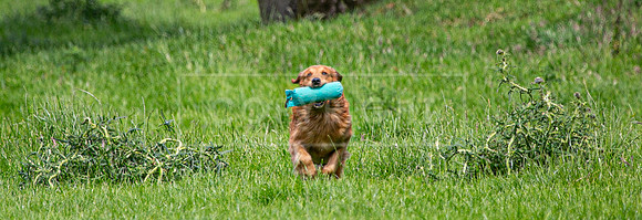 Int Retriever Day 1 -206