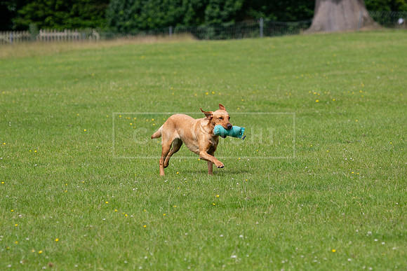 Int Retriever Day 1 -035