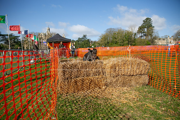 Thoresby Sun 30th Mar 25-012