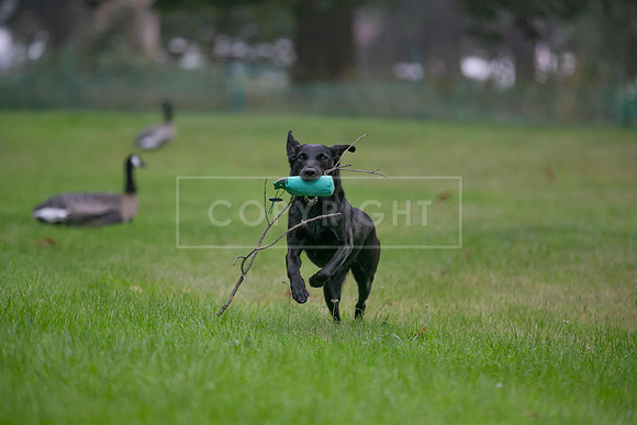 Jixenwell Scurry Challenge Final 2024-0117