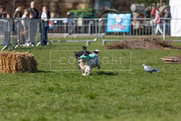 Thoresby Sun 30th Mar 25-089