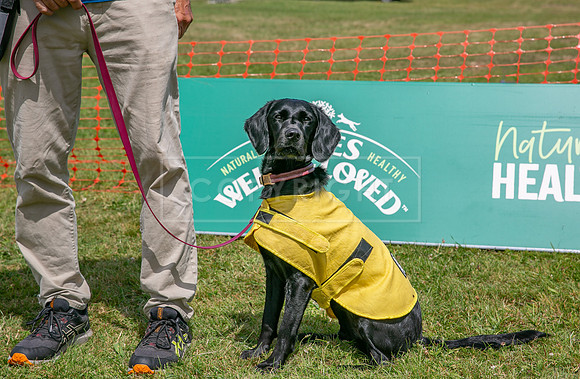 Scruffts heat @ Wadebridge 13th July 2025-151