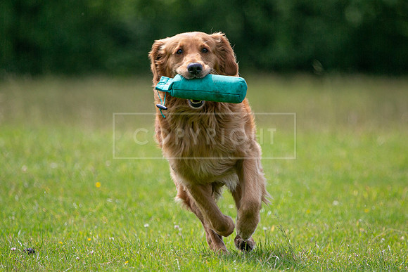 Int Retriever Day 1 -115