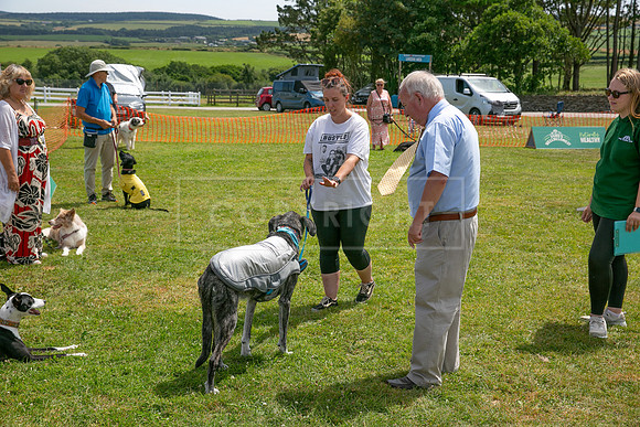 Scruffts heat @ Wadebridge 13th July 2025-137
