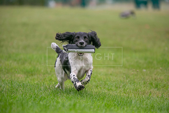Jixenwell Scurry Challenge Final 2024-0335