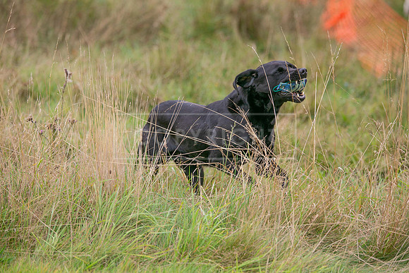 Jixenwell Scurry Challenge Final 2024-0430