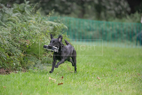 Jixenwell Scurry Challenge Final 2024-0115