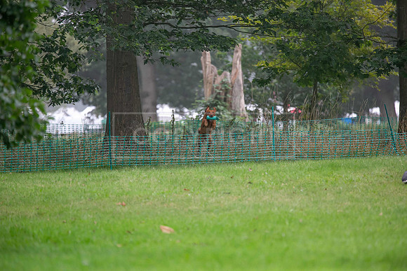Jixenwell Scurry Challenge Final 2024-0152