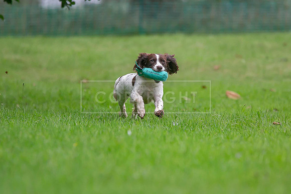 Jixenwell Scurry Challenge Final 2024-0323