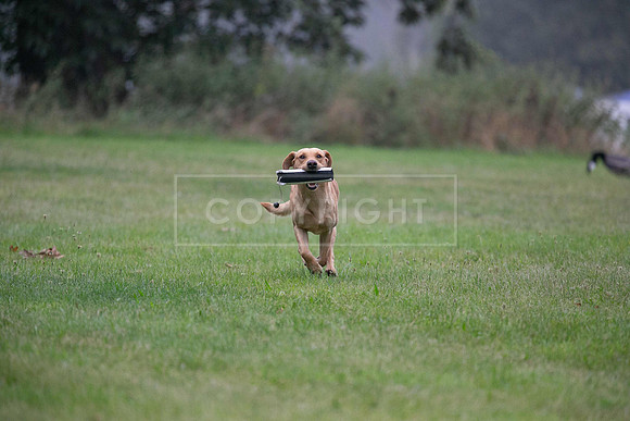 Jixenwell Scurry Challenge Final 2024-0102