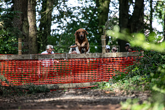 Int Retriever Day 2-18