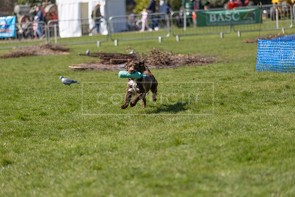 Thoresby Sun 30th Mar 25-168