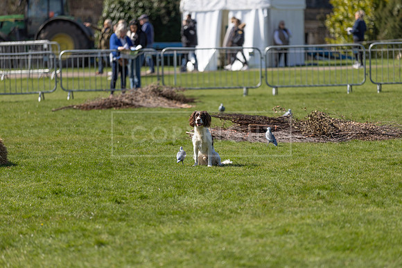 Thoresby Sun 30th Mar 25-202