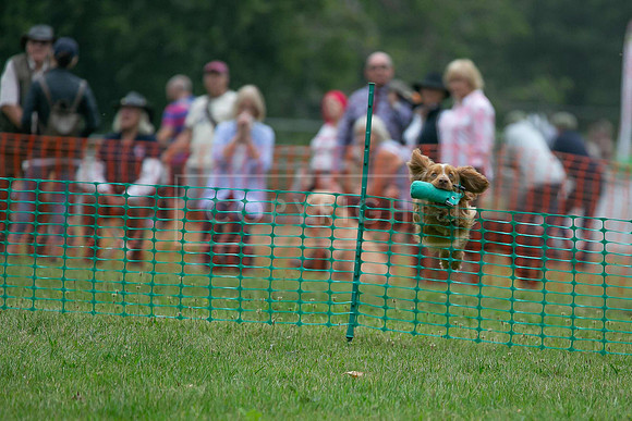 Jixenwell Scurry Challenge Final 2024-0363
