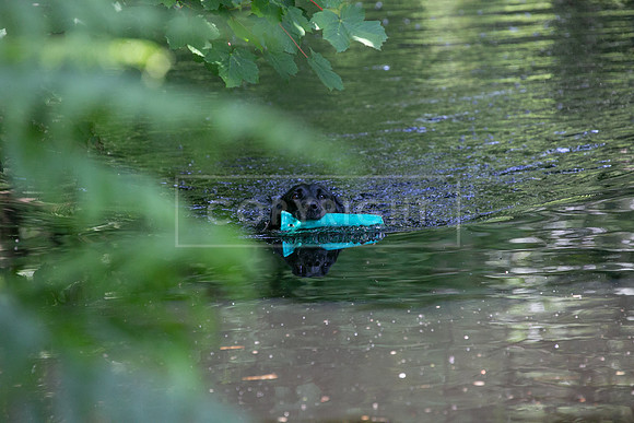 Int Retriever Day 1 -162