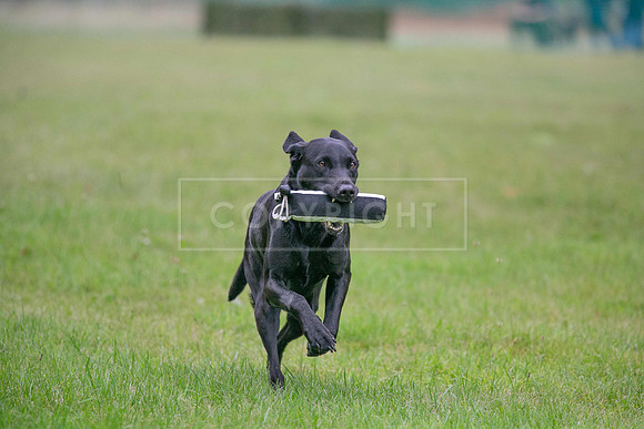 Jixenwell Scurry Challenge Final 2024-0162