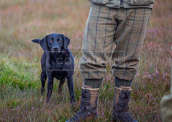Upperwood 1st Sept 23-015