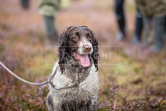 Upperwood 1st Sept 23-100