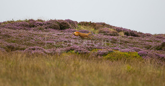Upperwood 1st Sept 23-122