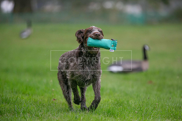 Jixenwell Scurry Challenge Final 2024-0086