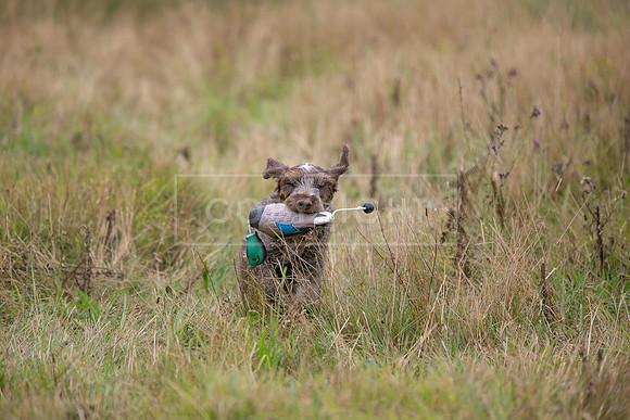 Jixenwell Scurry Challenge Final 2024-0448