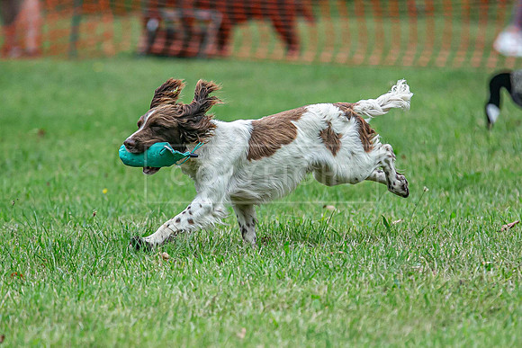 Jixenwell Scurry Challenge Final 2024-0199