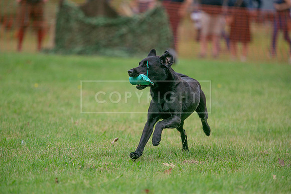 Jixenwell Scurry Challenge Final 2024-0411