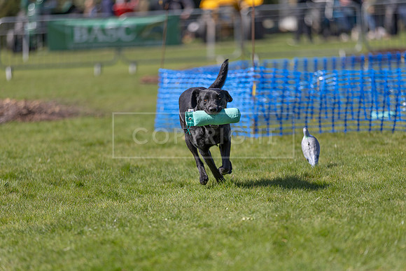 Thoresby Sun 30th Mar 25-186