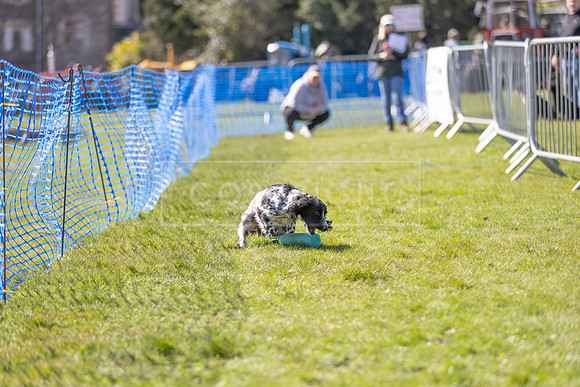 Thoresby Sun 30th Mar 25-241