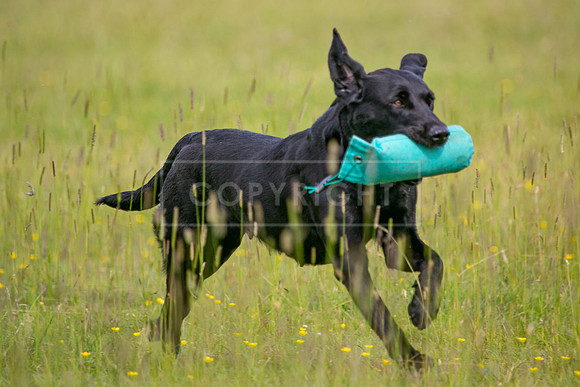Int Retriever Day 1 -053
